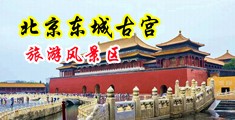 暴插性感巨乳美女国产中国北京-东城古宫旅游风景区
